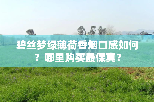 碧丝梦绿薄荷香烟口感如何？哪里购买最保真？
